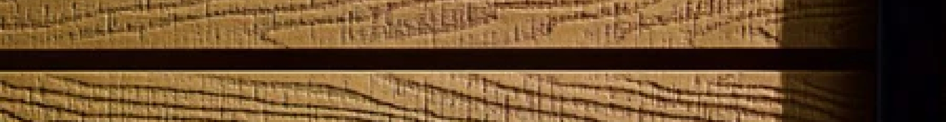 bannerimage